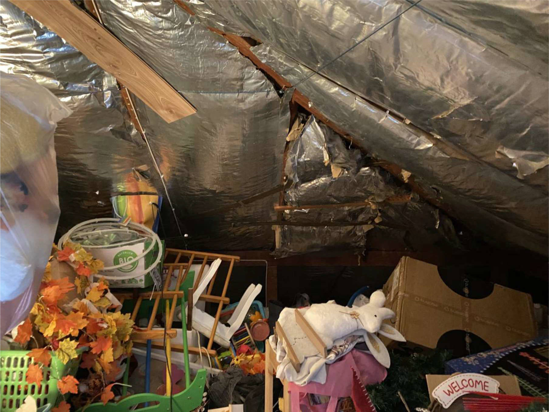 niedersachsen 0009 K 0008/2024 Brookskampen 4, 26629 Großefehn, Holtrop 9