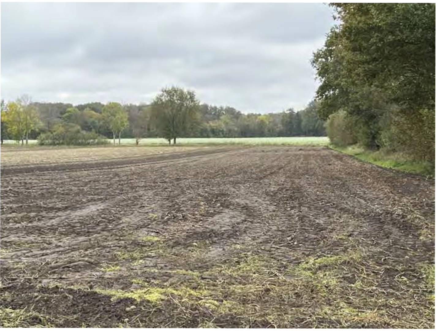 Annkenteil, In den Vorwiesen, 49584 Fürstenau, OT Settrup