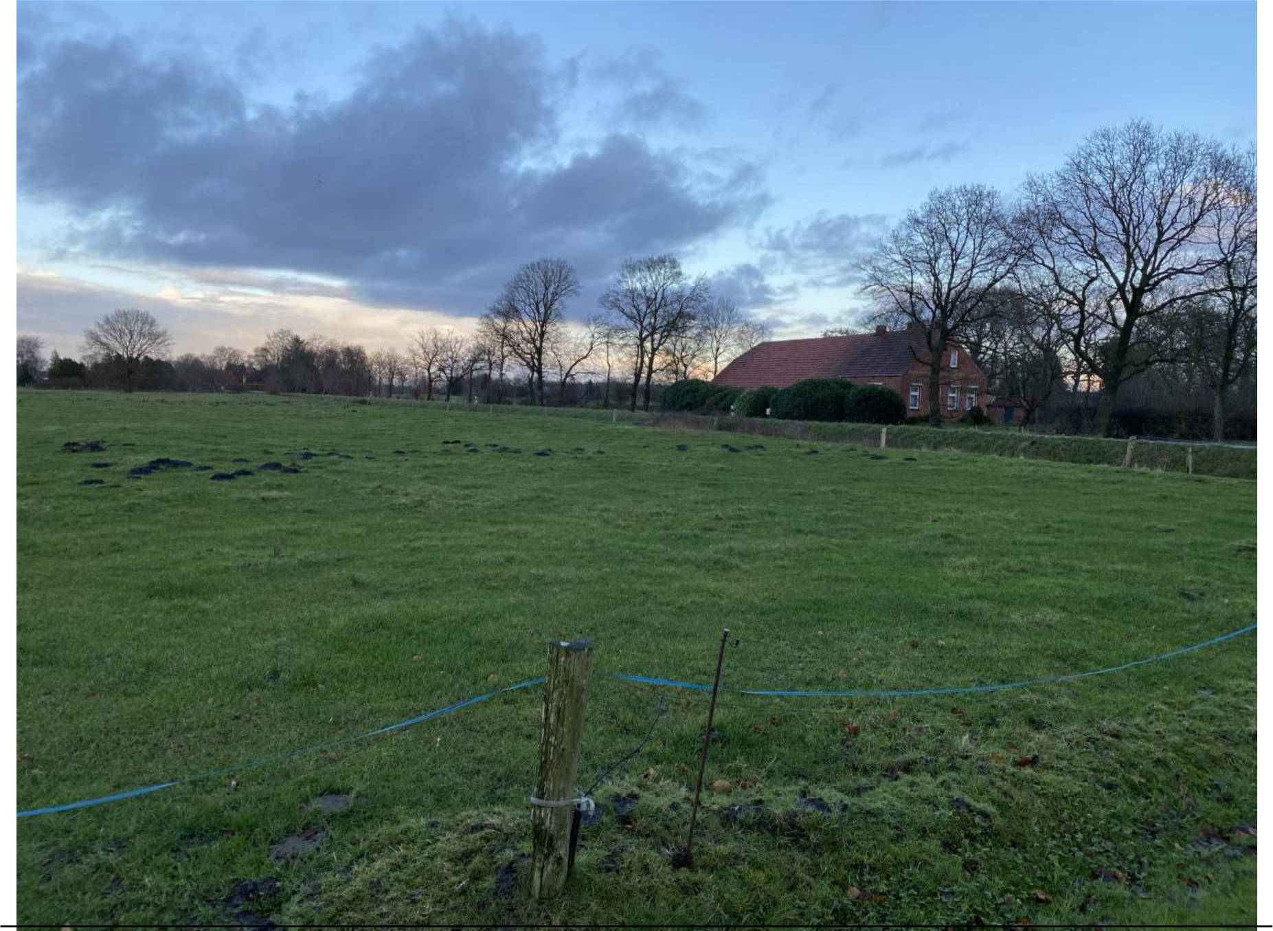 Resthof und 2 massiven Nebengebäuden (Scheune und Garage), sowie landwirtschaftlich genutzte Fläche in Deichhauser Str. 5, 26624 Südbrookmerland, Victorbur - Bild 3