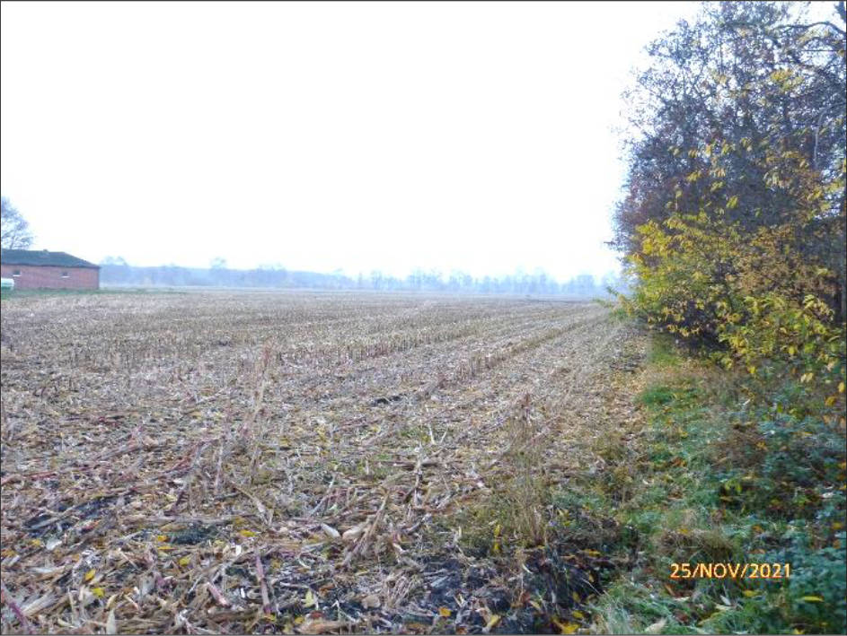 niedersachsen 0009K0014-2021 Overlaher Straße, 26219 Bösel