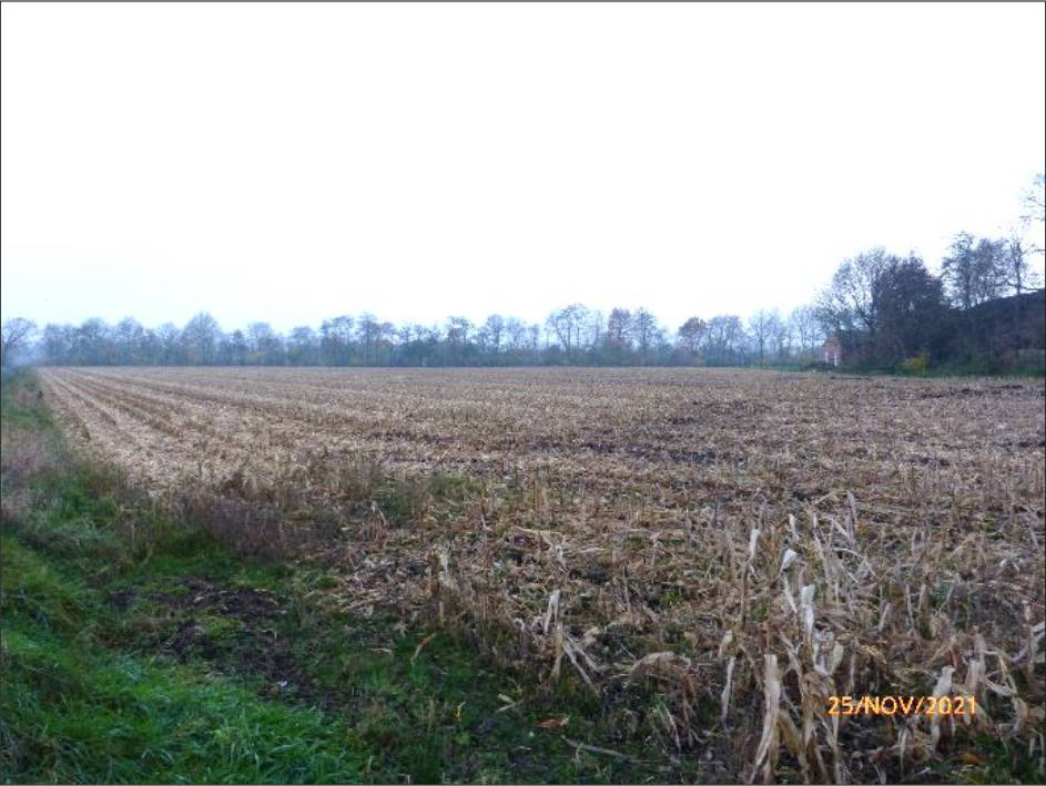 niedersachsen 0009K0014-2021 Overlaher Straße, 26219 Bösel