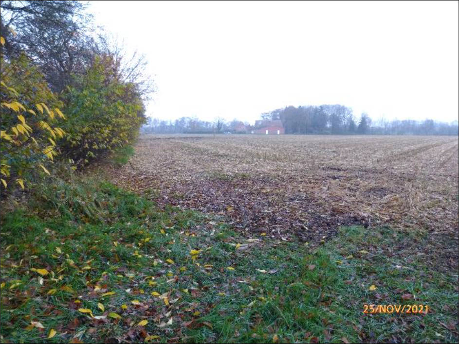 niedersachsen 0009K0014-2021 Overlaher Straße, 26219 Bösel