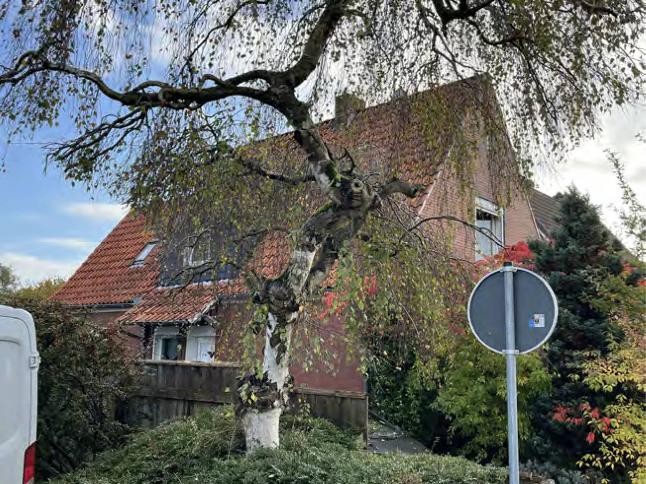 niedersachsen 0009K0015/2024 Badberger Straße 20, 49610 Quakenbrück 6