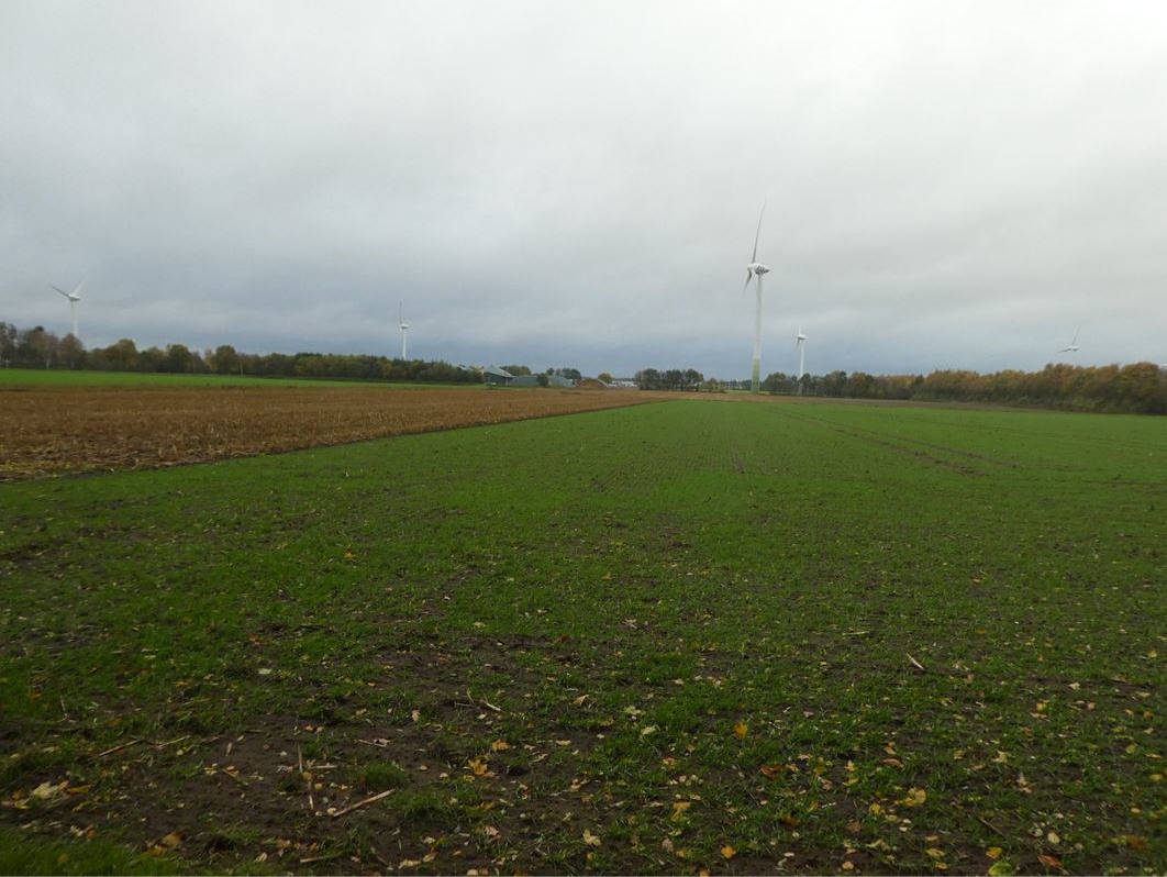 land- und forstwirtschaftlich genutztes Grundstück in Die alten Pfänder, 26169 Friesoythe, Gehlenberg