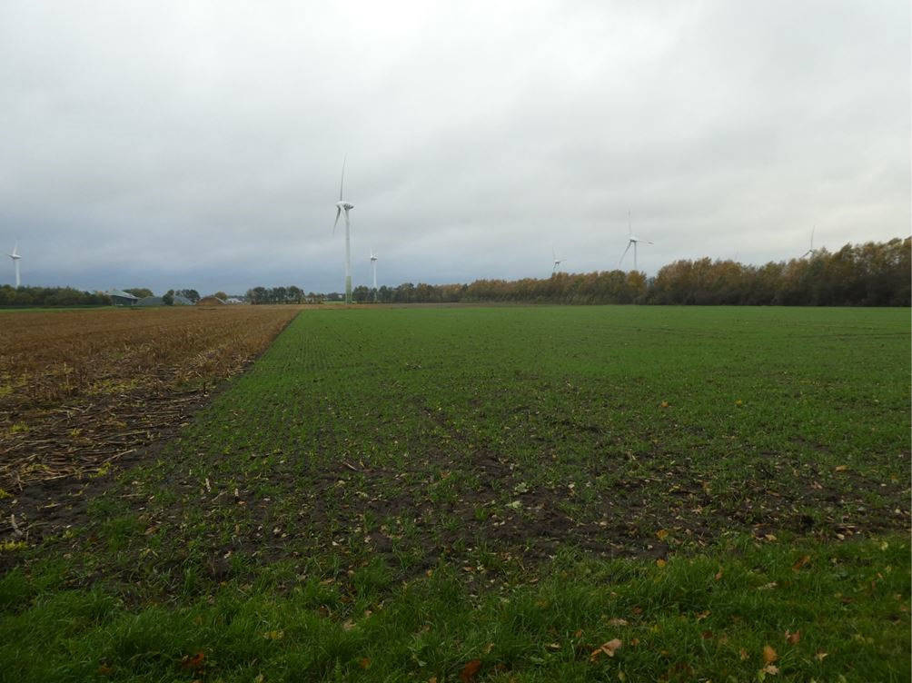 land- und forstwirtschaftlich genutztes Grundstück in Die alten Pfänder, 26169 Friesoythe, Gehlenberg - Bild 2