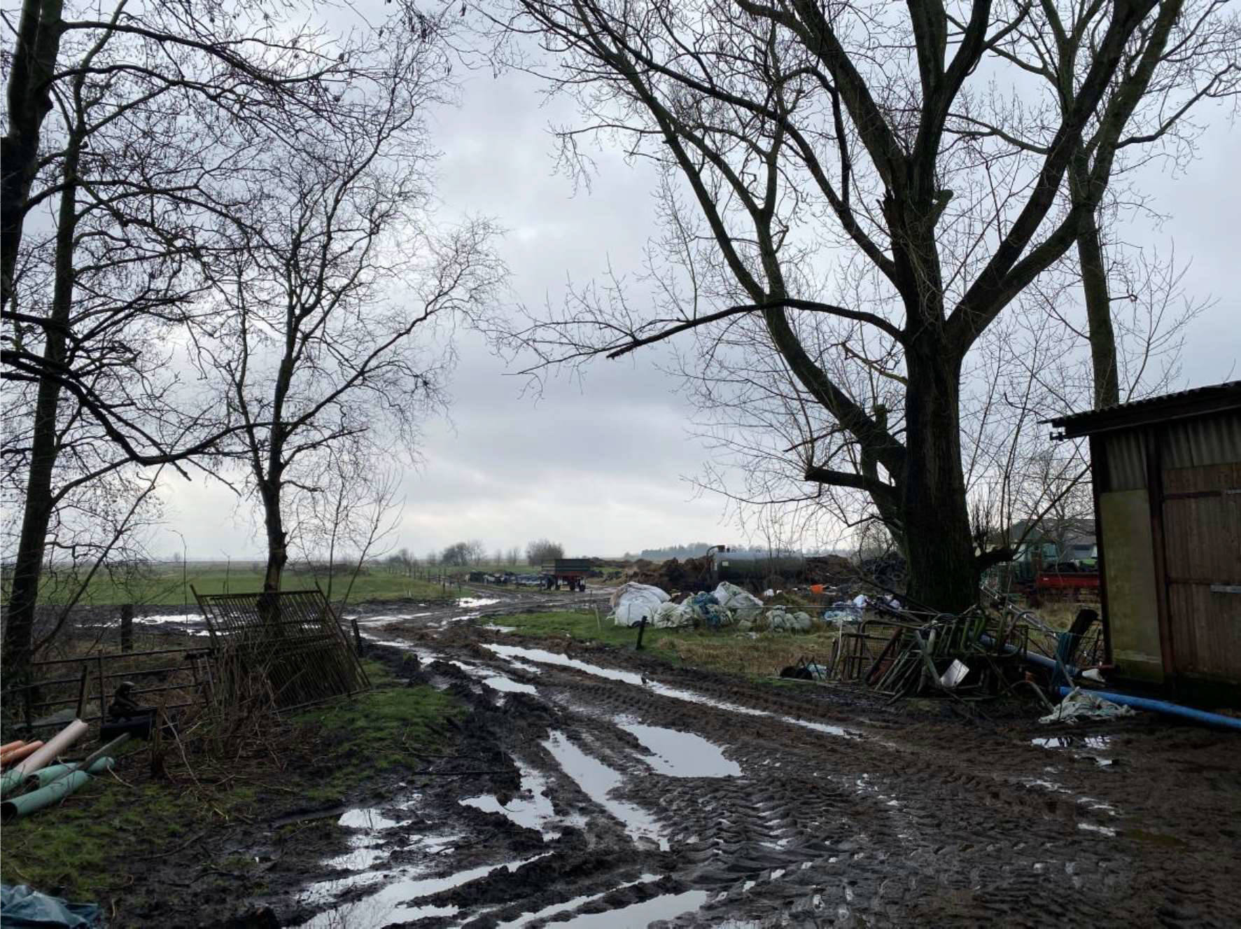 Hofgebäude mit Landwirtschaftsflächen in Forlitzer Straße 205, 26624 Südbrookmerland, Bedecaspel - Bild 2
