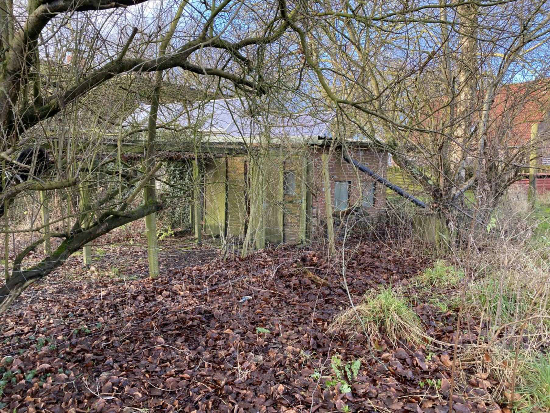 Resthof in Engerhafer Loog 103, 26624 Südbrookmerland, Engerhafe - Bild 4