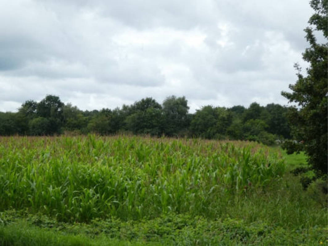 niedersachsen 0009K0027-2022 Dingenbergstraße, 26676 Barßel 8