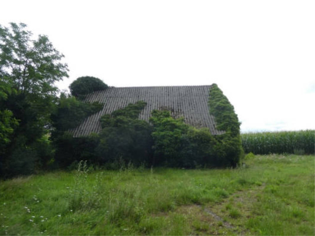 Sonstiges in Dingenbergstraße, 26676 Barßel - Bild 4