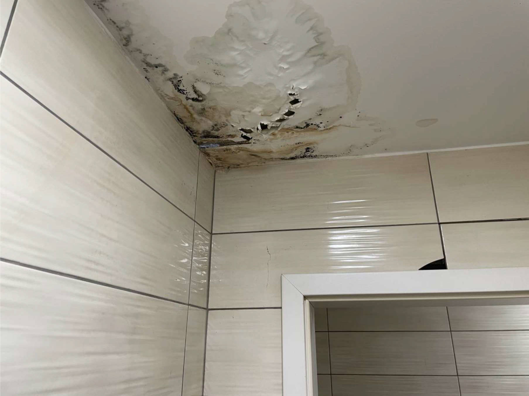 niedersachsen 0009 K 0031/2024 Auricher Landstraße 12, 26629 Großefehn, Mittegroßefehn 17