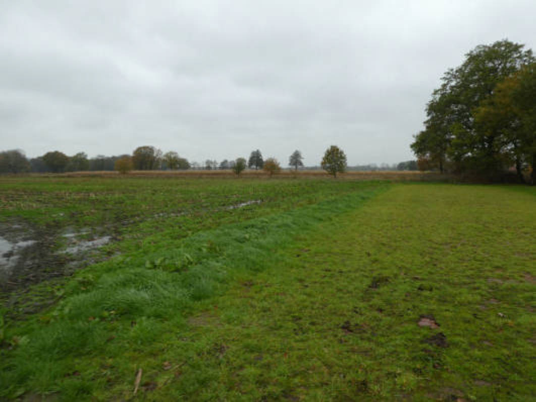 land- und forstwirtschaftlich genutztes Grundstück in In den Wösten 1 A, 26169 Friesoythe - Bild 3