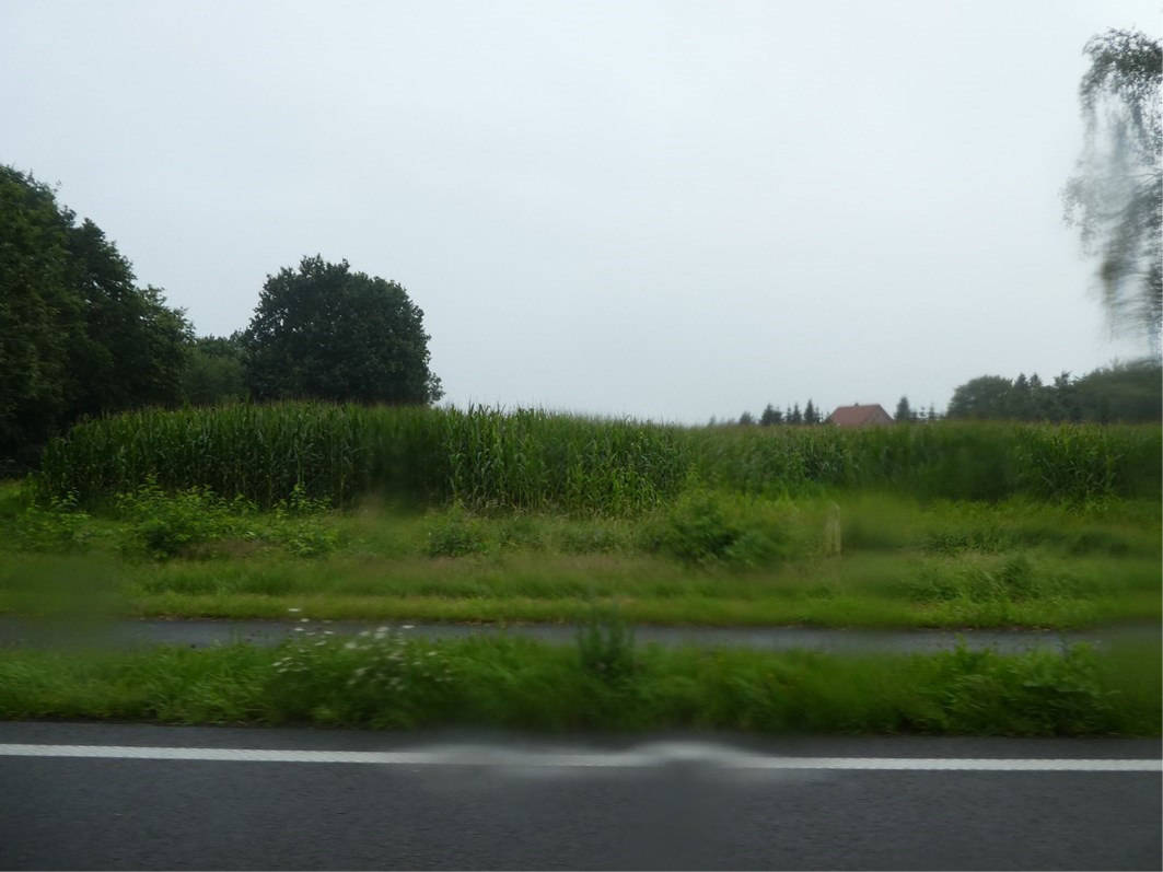 land- und forstwirtschaftlich genutztes Grundstück in B 401 / Immenschulweg (Feldweg), 26683 Saterland, Sedelsberg-Hüllen II