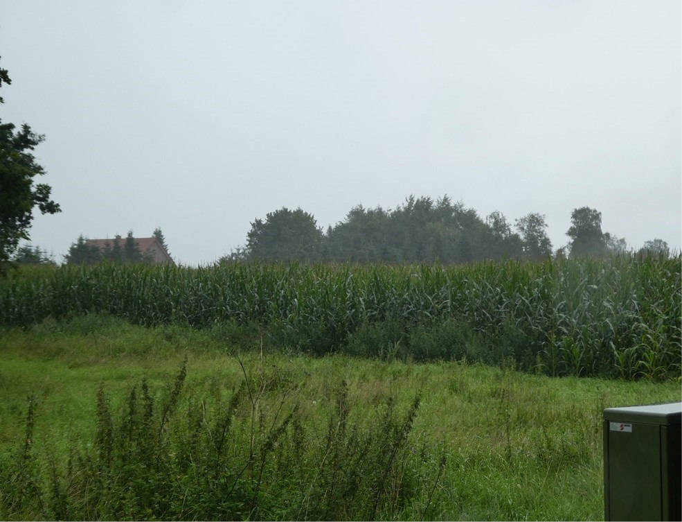 land- und forstwirtschaftlich genutztes Grundstück in B 401 / Immenschulweg (Feldweg), 26683 Saterland, Sedelsberg-Hüllen II - Bild 2