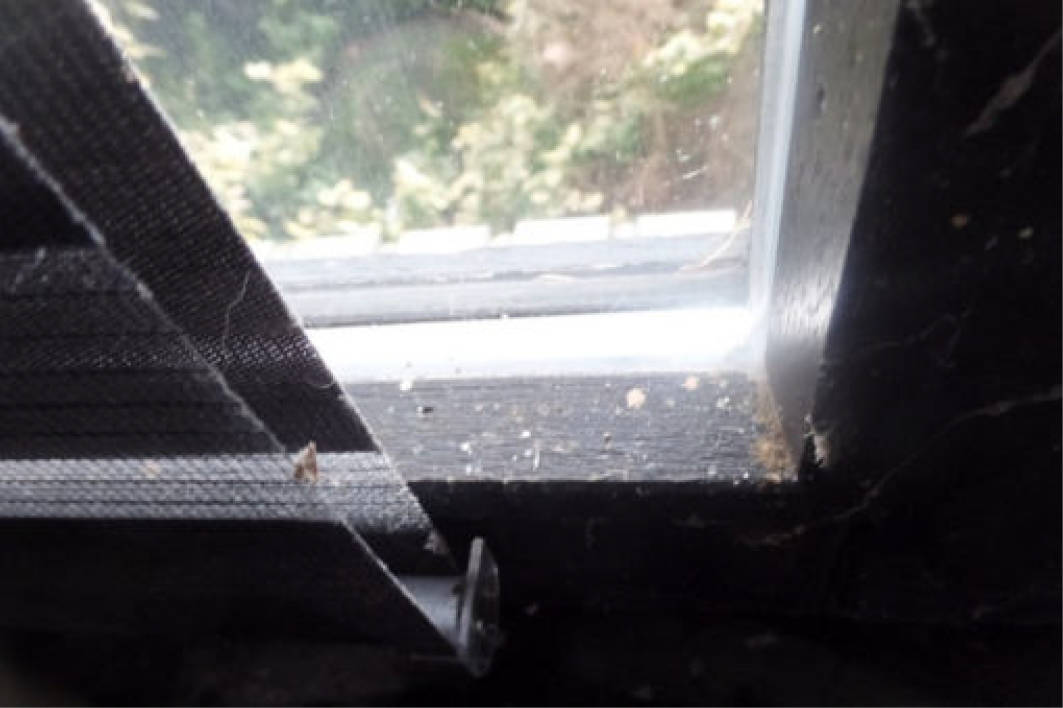 niedersachsen 0009 K 0038/2023 Linderner Damm 8, 49624 Löningen 25