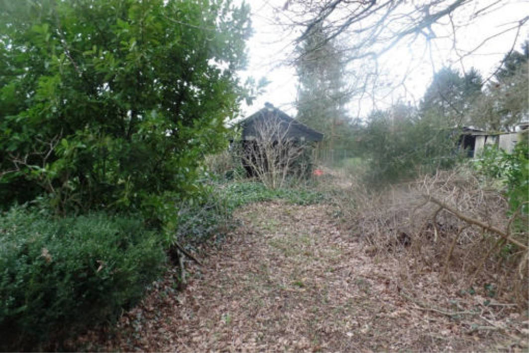 niedersachsen 0009 K 0038/2023 Linderner Damm 8, 49624 Löningen 17