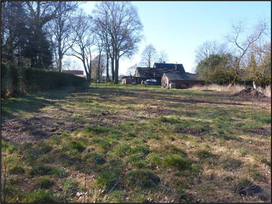 Sonstiges in Gartenstraße, 49699 Lindern (Oldenburg), Osterlindern - Bild 2