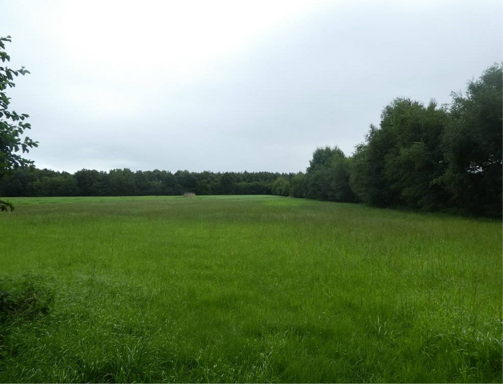 unbebautes Grundstück in Tallebült, 26683 Saterland, Scharrel