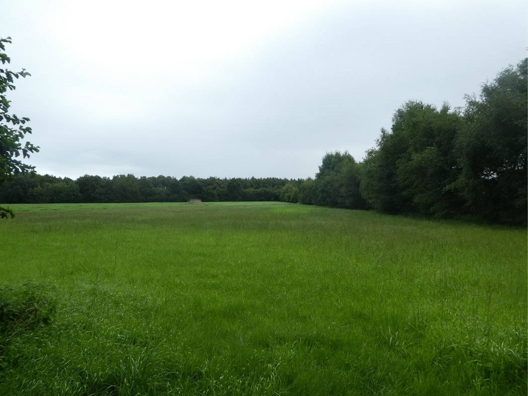 unbebautes Grundstück in Tallebült, 26683 Saterland, Scharrel - Bild 3