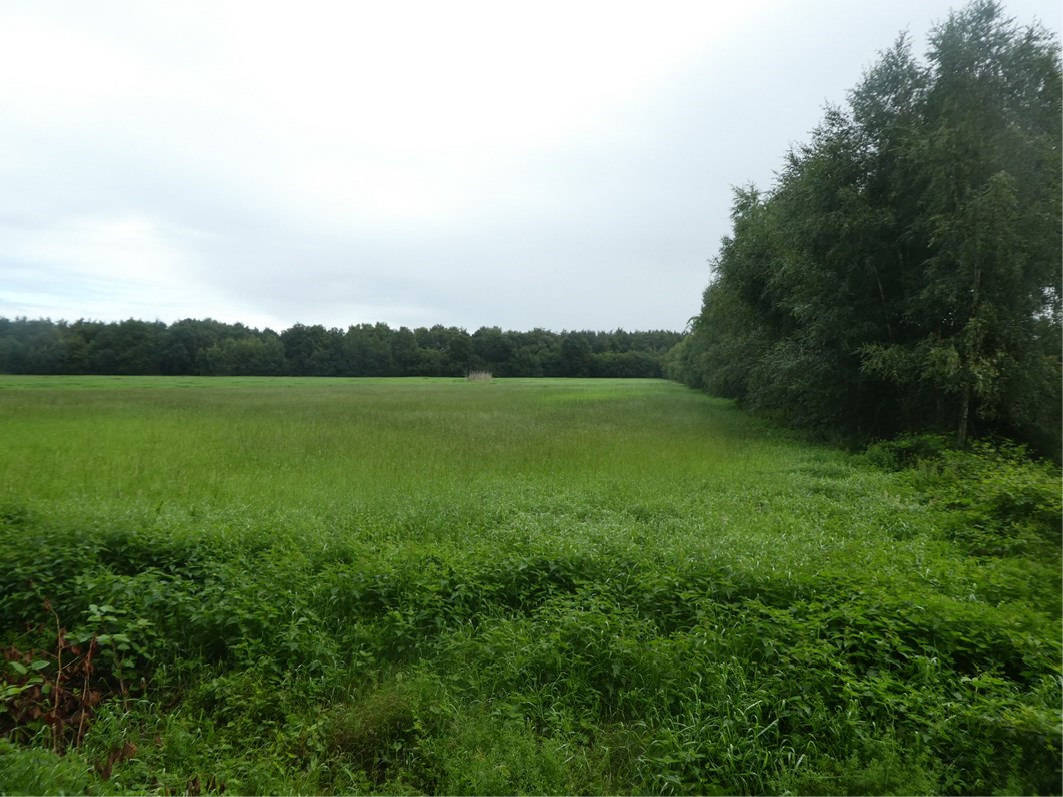 unbebautes Grundstück in Tallebült, 26683 Saterland, Scharrel - Bild 2