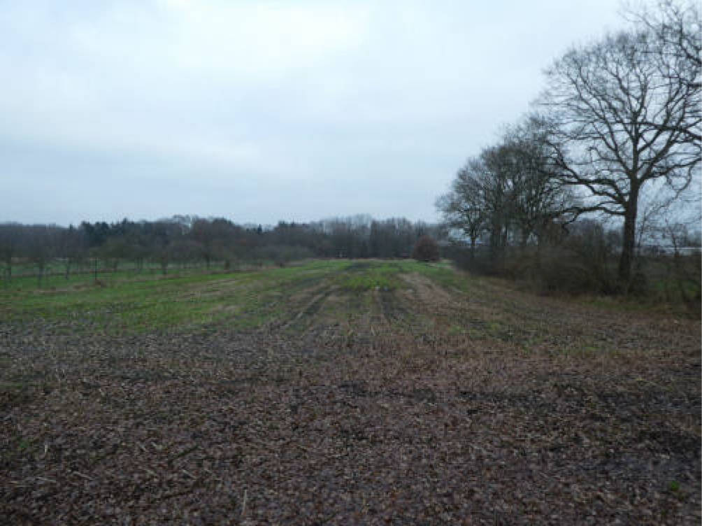 land- und forstwirtschaftlich genutztes Grundstück in Hulen Riehen, 26169 Friesoythe