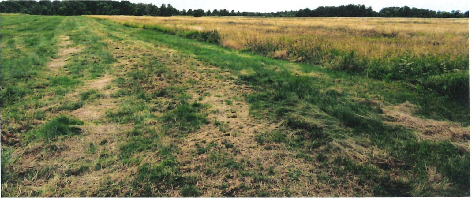 land- und forstwirtschaftlich genutztes Grundstück in Neue Teile, 21770 Mittelstenahe, Varrel