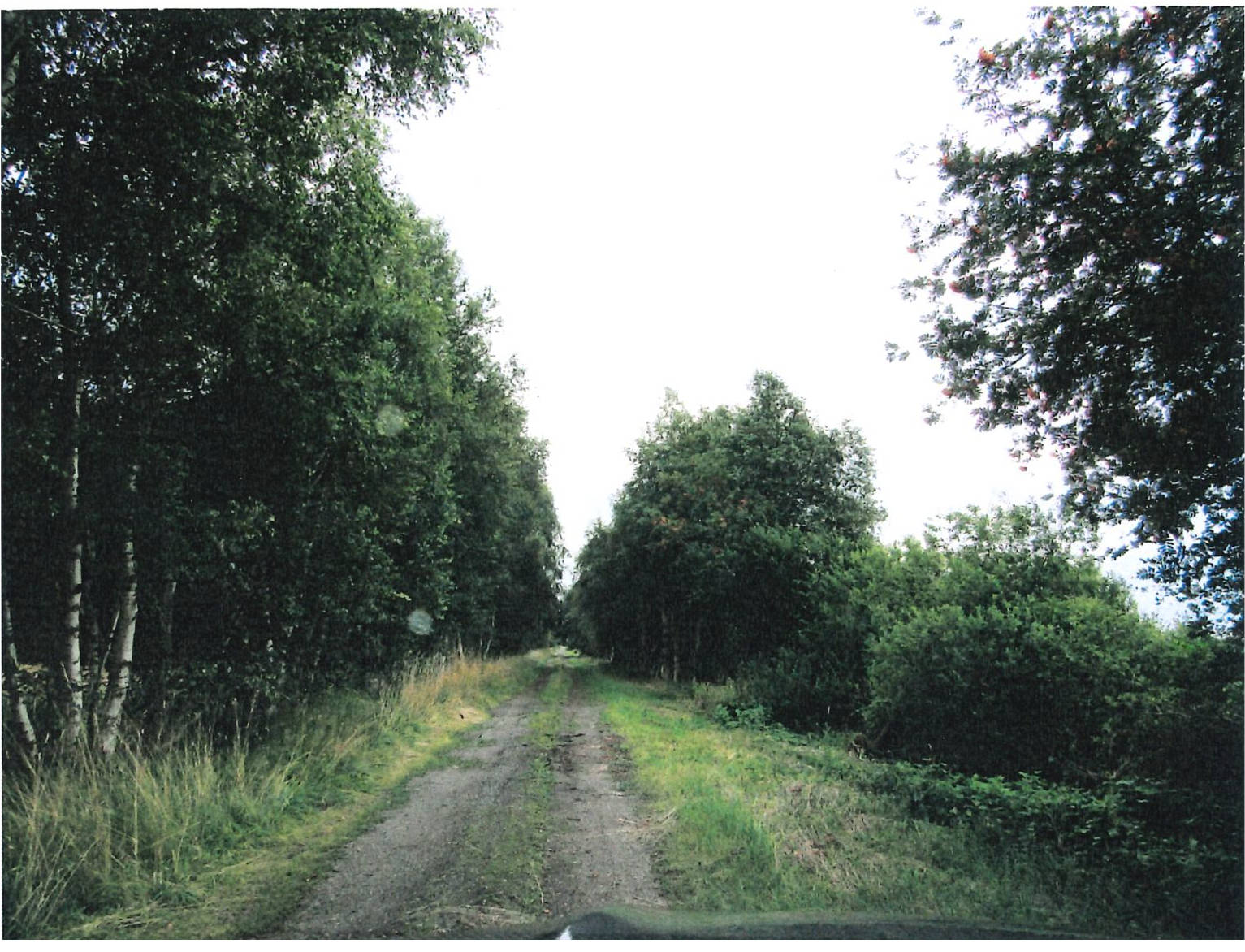 land- und forstwirtschaftlich genutztes Grundstück in Neue Teile, 21770 Mittelstenahe, Varrel - Bild 4