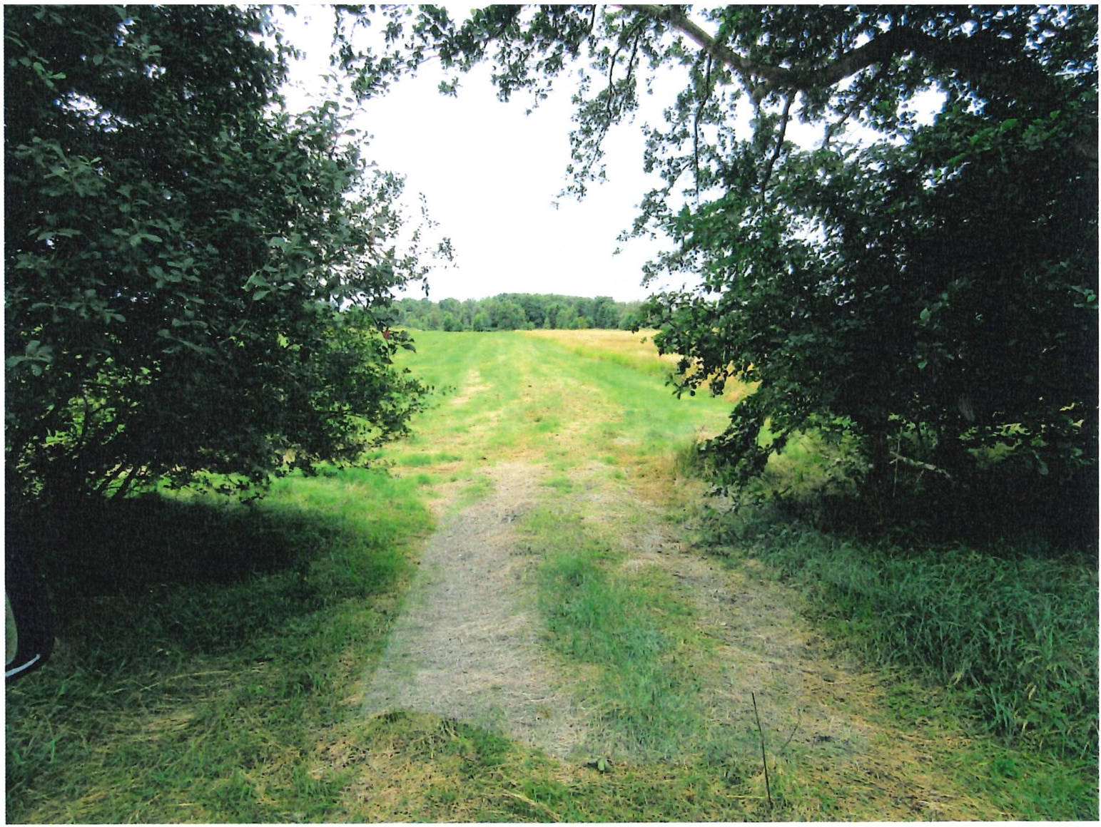 land- und forstwirtschaftlich genutztes Grundstück in Neue Teile, 21770 Mittelstenahe, Varrel - Bild 2