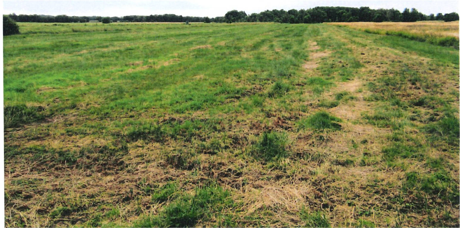 land- und forstwirtschaftlich genutztes Grundstück in Neue Teile, 21770 Mittelstenahe, Varrel - Bild 3
