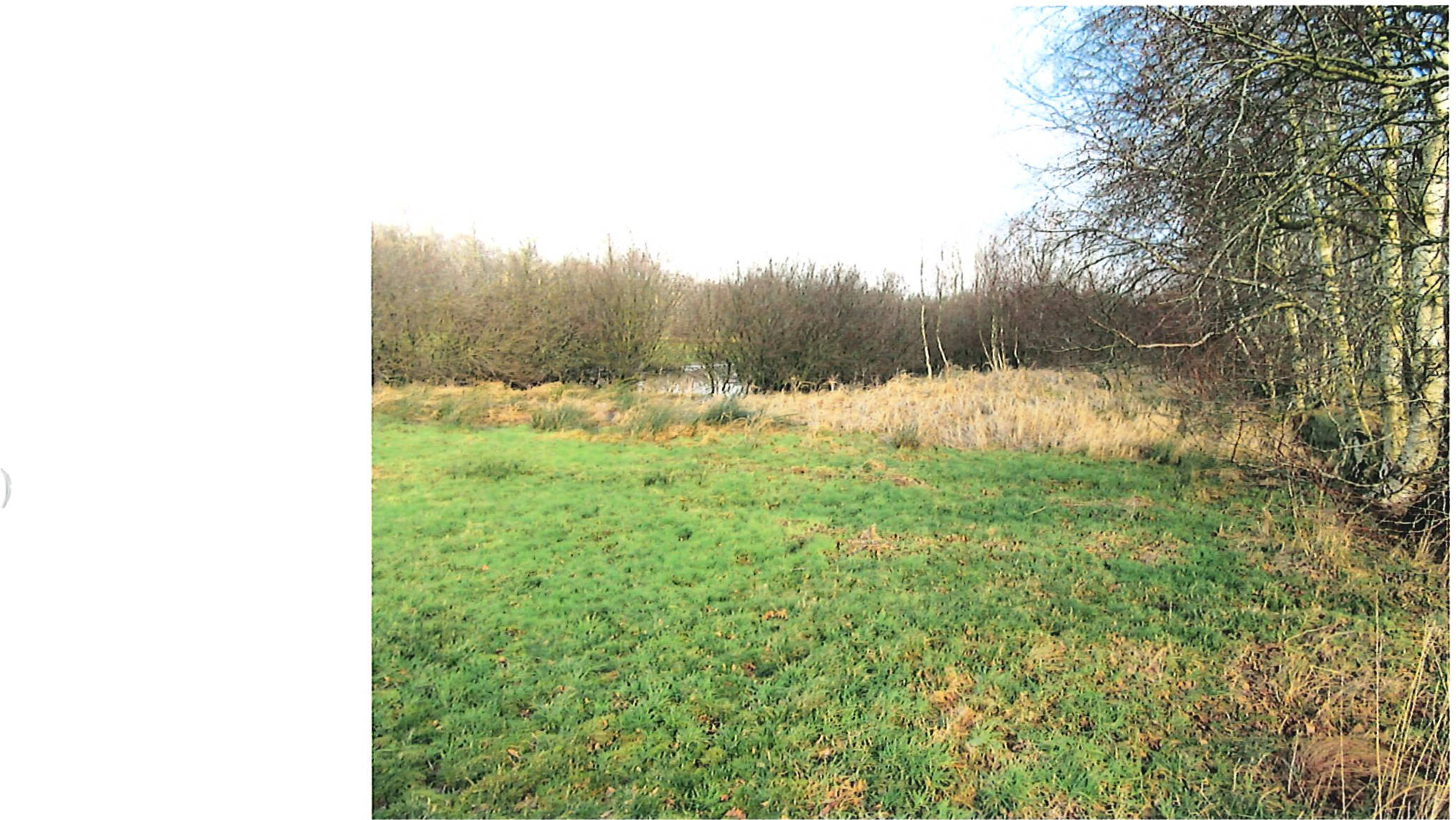 land- und forstwirtschaftlich genutztes Grundstück in Basmoor, 21770 Mittelstenahe - Bild 2