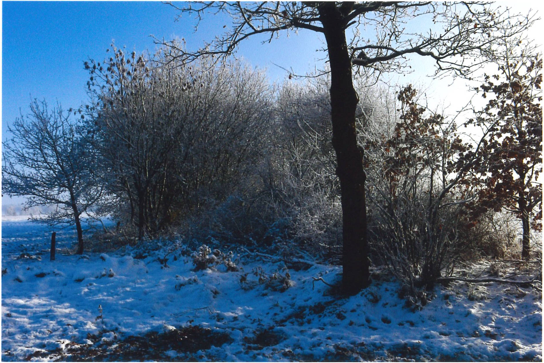 Im Stintmoor, 21772 Stinstedt
