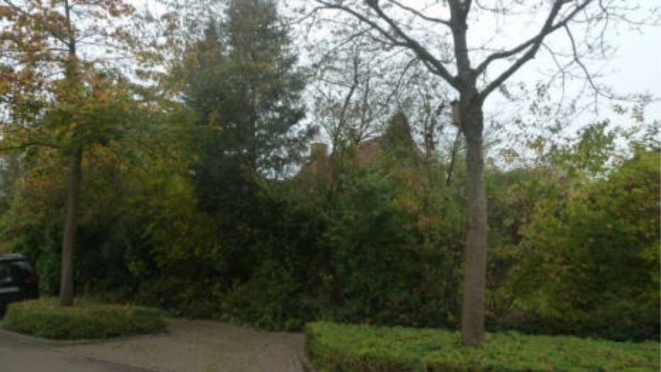 Einfamilienhaus in Gerlachweg 2, 21614 Buxtehude, Ottensen - Bild 3