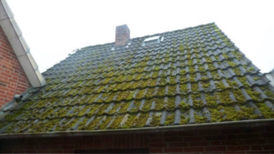 niedersachsen 0011 K 0004/2024 Kötnermoor 24, 27442 Gnarrenburg, Karlshöfen 11