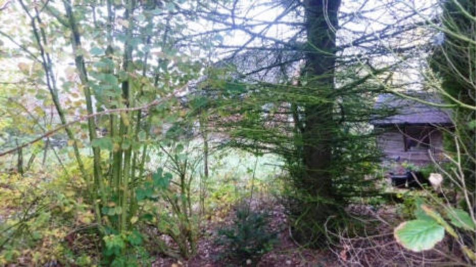 Einfamilienhaus in Kötnermoor 24, 27442 Gnarrenburg, Karlshöfen - Bild 2