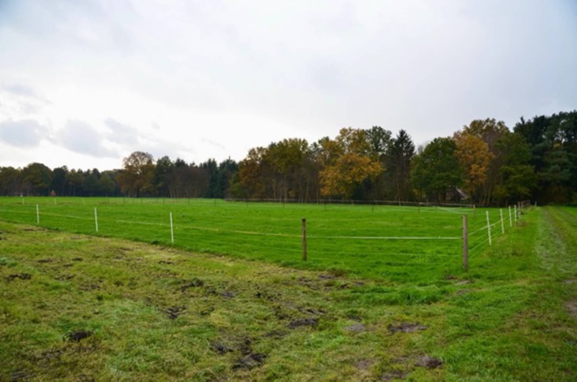 niedersachsen 0011K0007-2023 Landwirtschaftl. Fläche, Nördlich des Augustendorfer Dammes, 27442 Gnarrenburg, Augustendorf