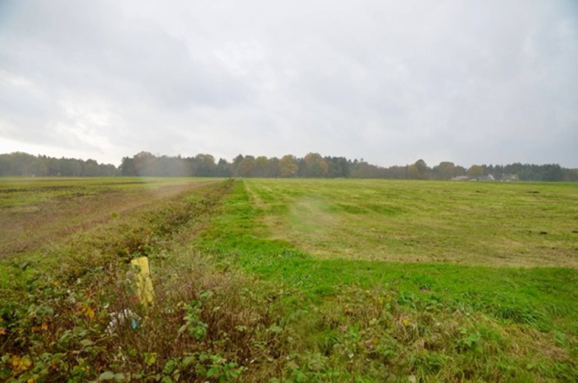 niedersachsen 0011K0007-2023 Landwirtschaftl. Fläche, Nördlich des Augustendorfer Dammes, 27442 Gnarrenburg, Augustendorf