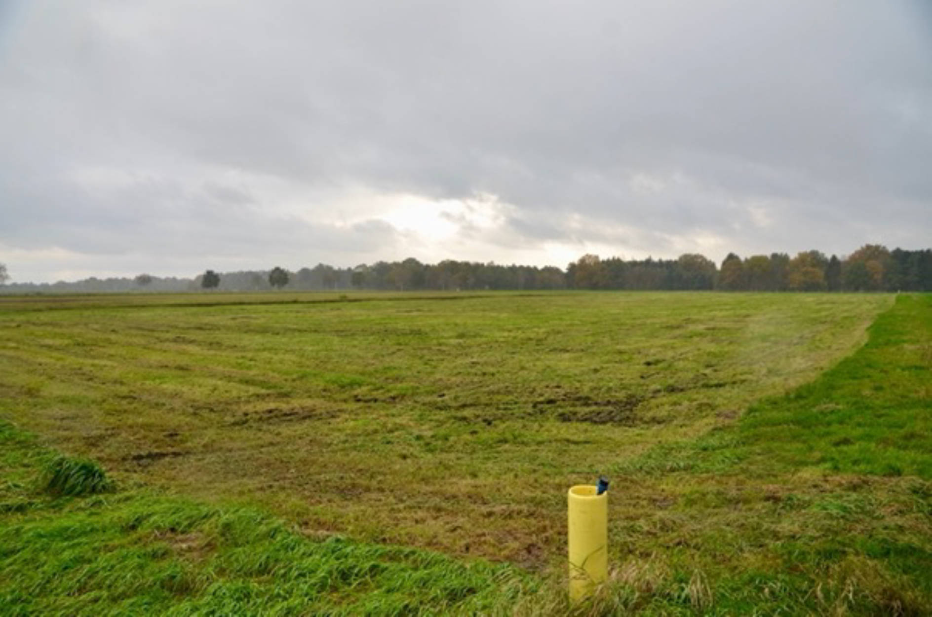 niedersachsen 0011K0007-2023 Landwirtschaftl. Fläche, Nördlich des Augustendorfer Dammes, 27442 Gnarrenburg, Augustendorf