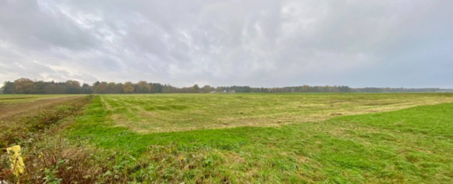 niedersachsen 0011K0007-2023 Landwirtschaftl. Fläche, Nördlich des Augustendorfer Dammes, 27442 Gnarrenburg, Augustendorf