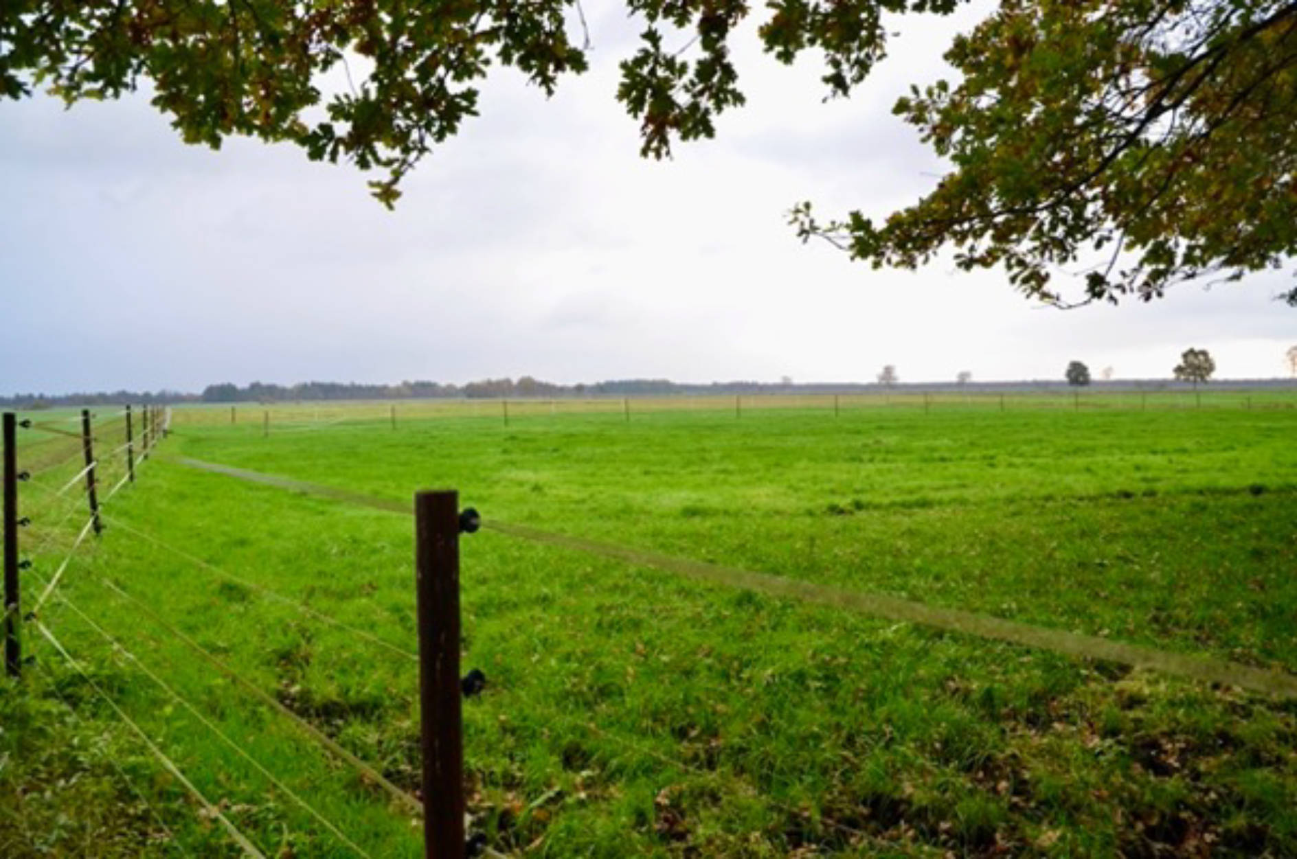 niedersachsen 0011K0007-2023 Landwirtschaftl. Fläche, Nördlich des Augustendorfer Dammes, 27442 Gnarrenburg, Augustendorf