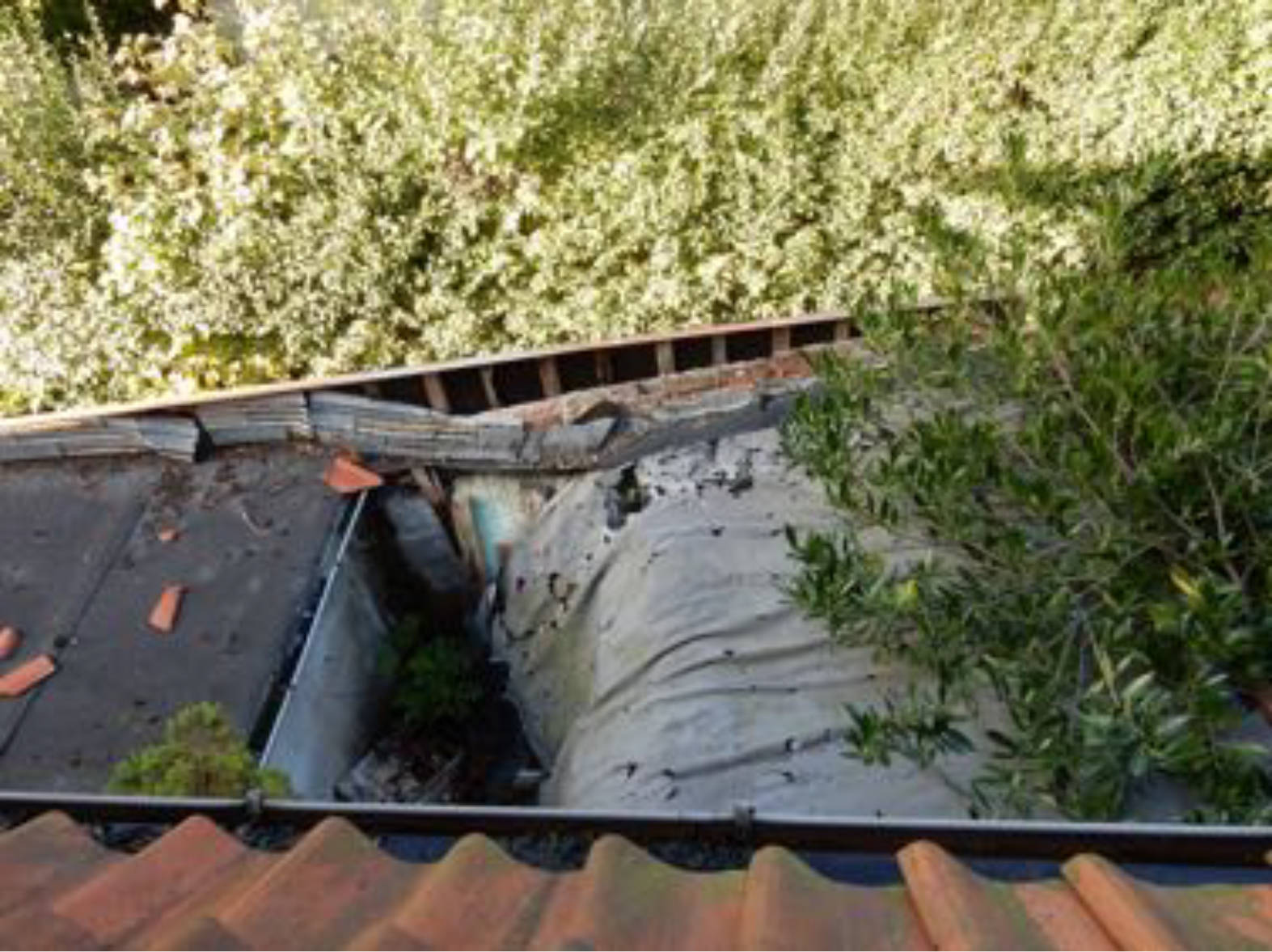 Einfamilienhaus in Tönneckenkopf 18, 38667 Bad Harzburg, Göttingerode - Bild 4