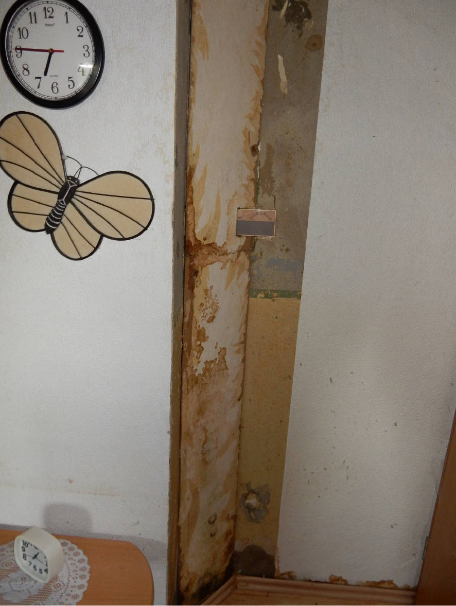 niedersachsen 0011 K 0010/2024 Tönneckenkopf 18, 38667 Bad Harzburg, Göttingerode 8