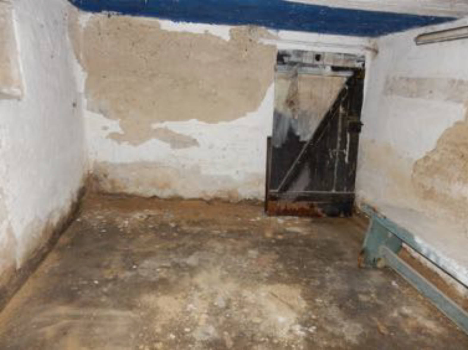 niedersachsen 0011 K 0010/2024 Tönneckenkopf 18, 38667 Bad Harzburg, Göttingerode 11