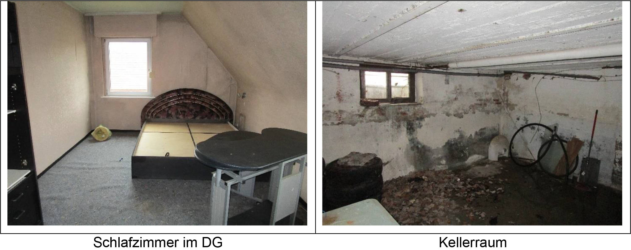 Wohn-/Geschäftshaus in Vennweg 13, 48499 Salzbergen - Bild 3