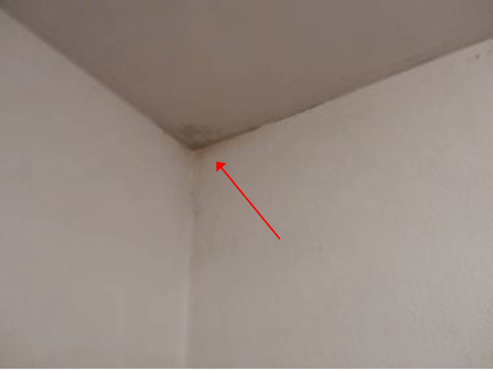 Eigentumswohnung (3 bis 4 Zimmer) in Lärchenweg 34, 38667 Bad Harzburg - Bild 5