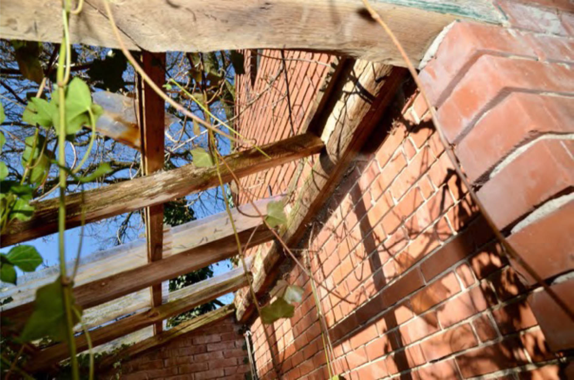 niedersachsen 0012 K 0001/2025 Hustedter Weg 1, 27337 Blender, Oiste 18