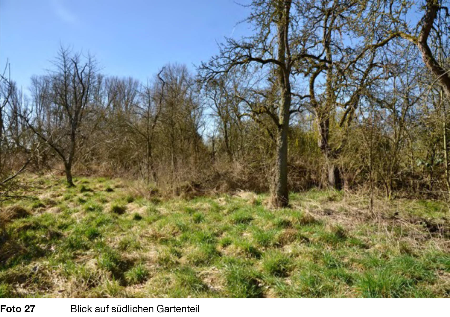 niedersachsen 0012 K 0001/2025 Hustedter Weg 1, 27337 Blender, Oiste 17