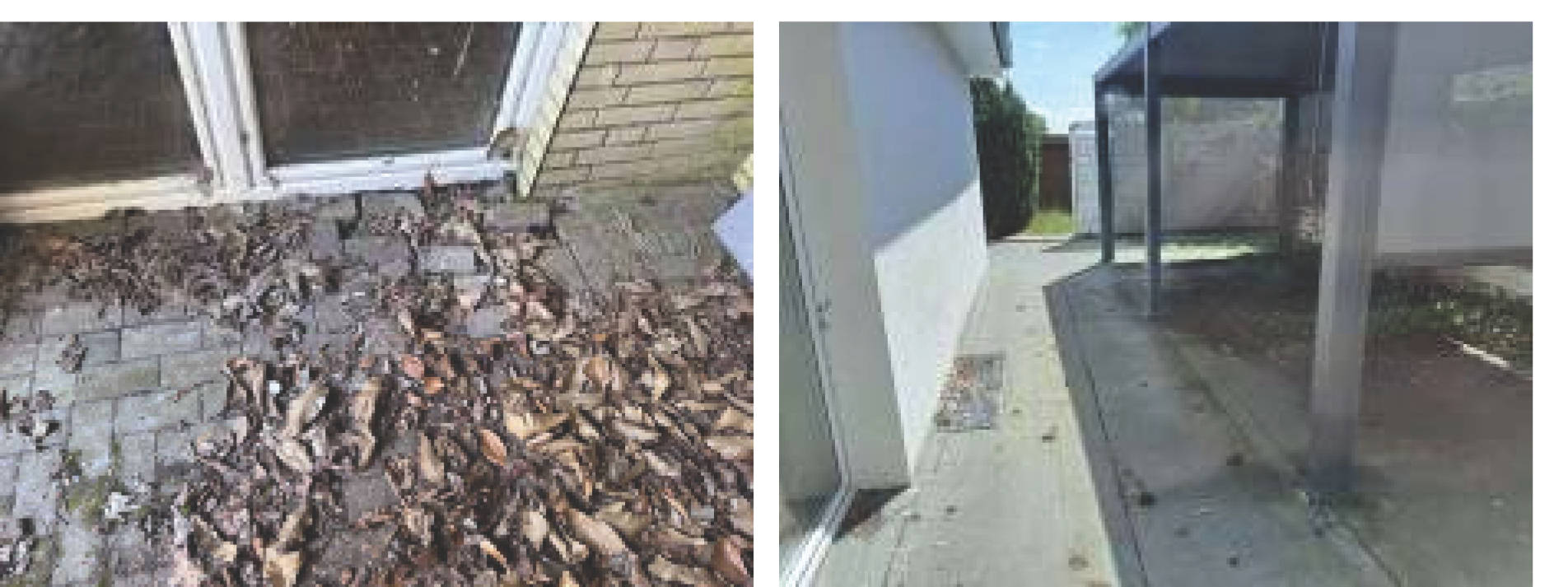 niedersachsen 0012 K 0002/2025 Holter Straße 13, 27476 Cuxhaven, Berensch-Arensch 11