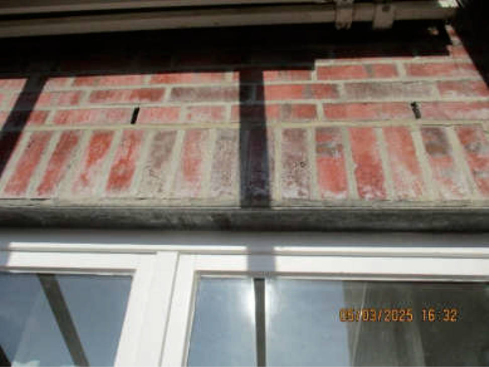 niedersachsen 0014 K 0002/2024 Arnings Patt 14 A, 14 B, 14 C, 14 D, 49459 Lembruch 13