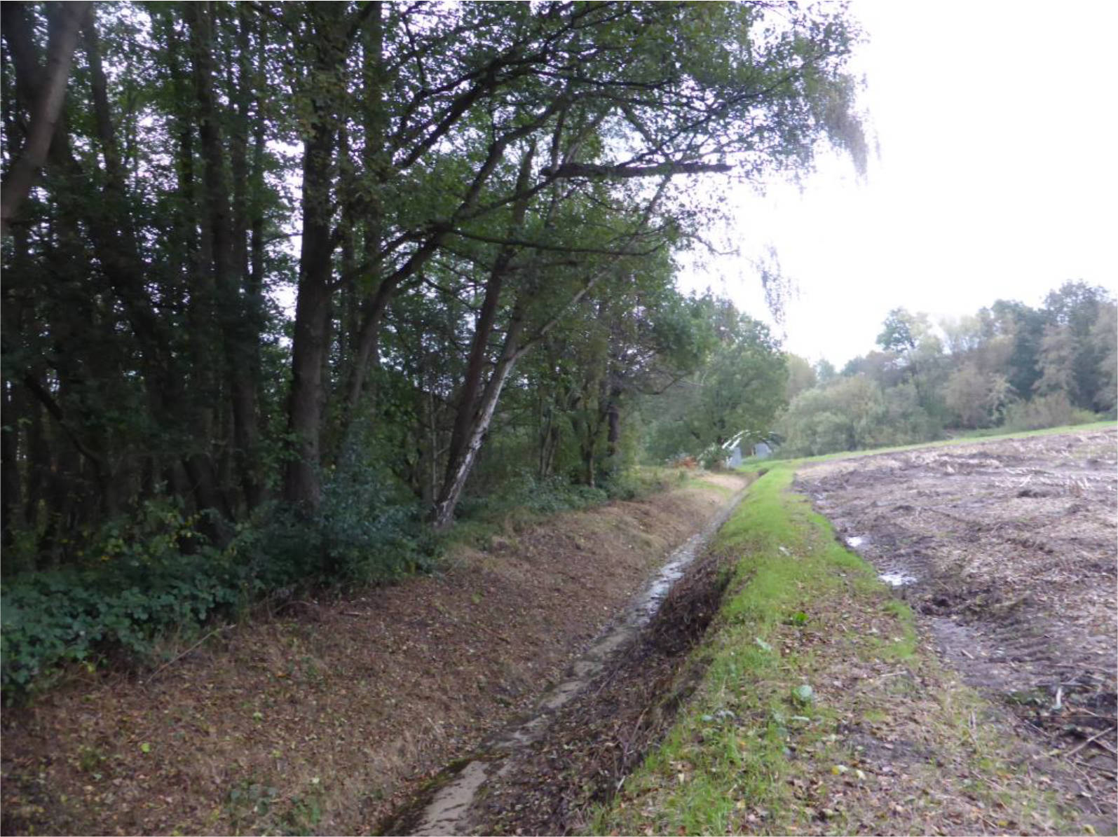 unbebautes Grundstück in Överlingen, Rechtern, 49406 Barnstorf, Rechtern - Bild 3