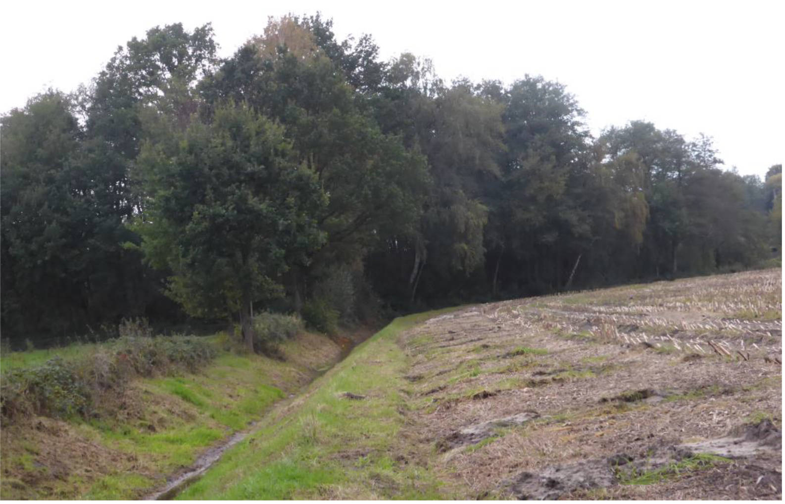 unbebautes Grundstück in Överlingen, Rechtern, 49406 Barnstorf, Rechtern