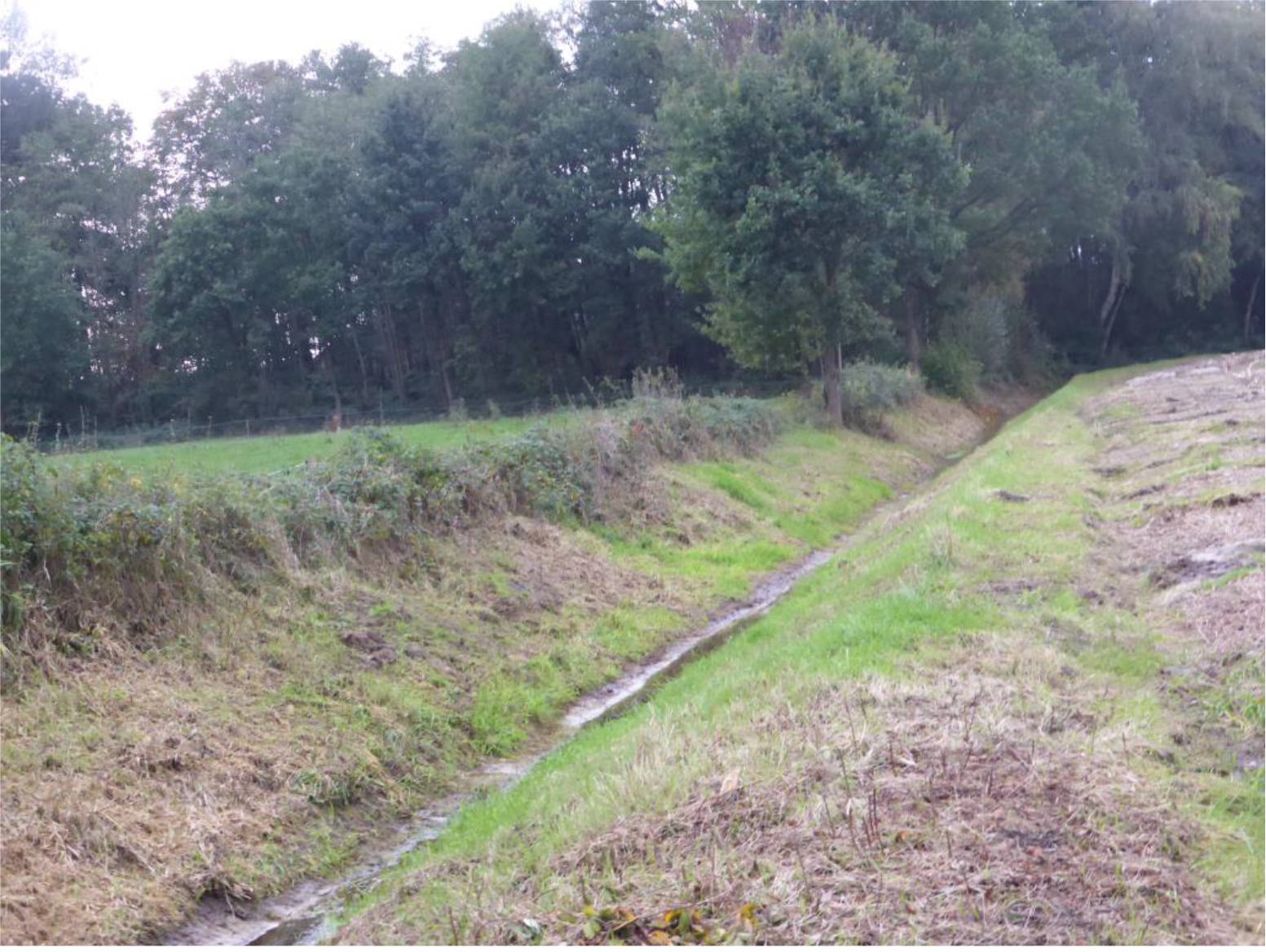 niedersachsen 0014K0004-2019 Överlingen, Rechtern, 49406 Barnstorf, Rechtern 7